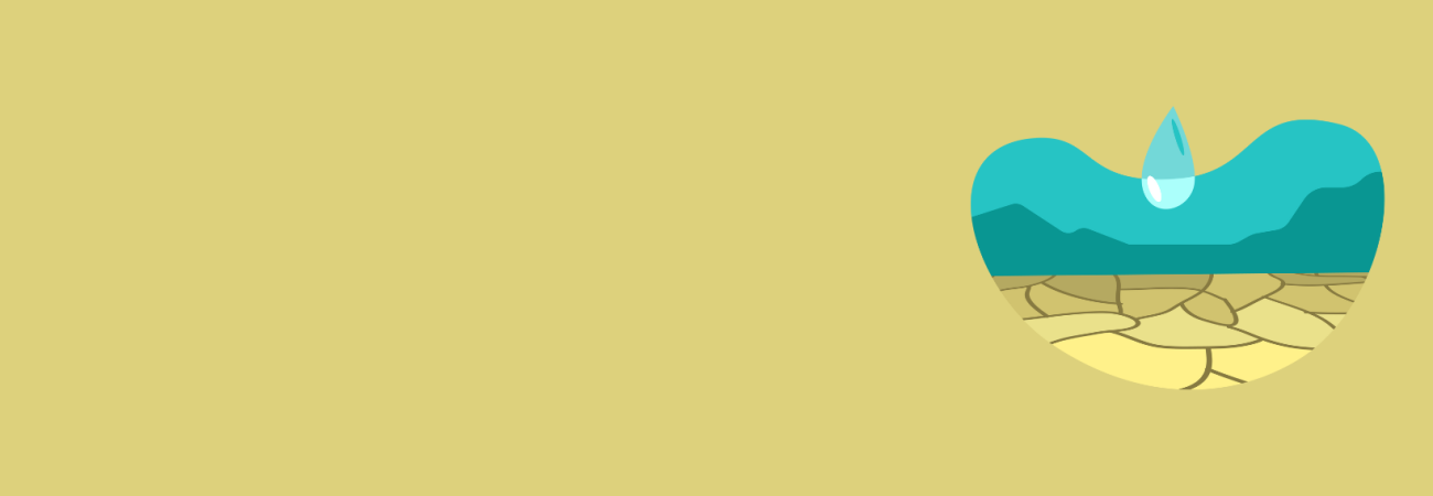 Fédération Hospitalière de France - CTEES - L'eau : comment anticiper sa rareté ?