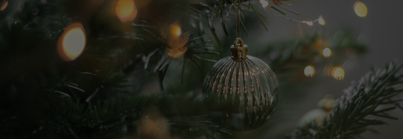 Fédération Hospitalière de France - La FHF PACA vous souhaite de belles fêtes de fin d'année